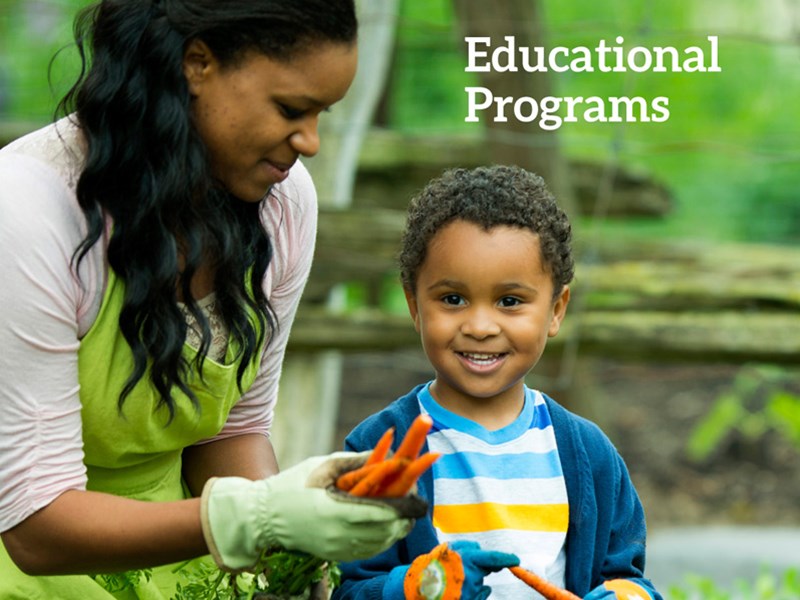 Programs at Toledo GROWs